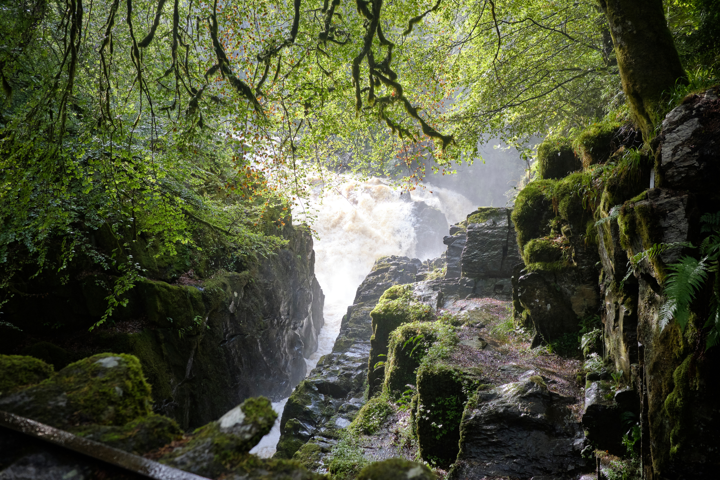 pitlochry (4).webp
